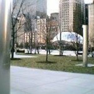 Meet your Posher, Lynne